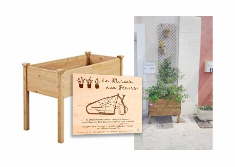 miroisprojeect.jpg miroisprojeect.jpg