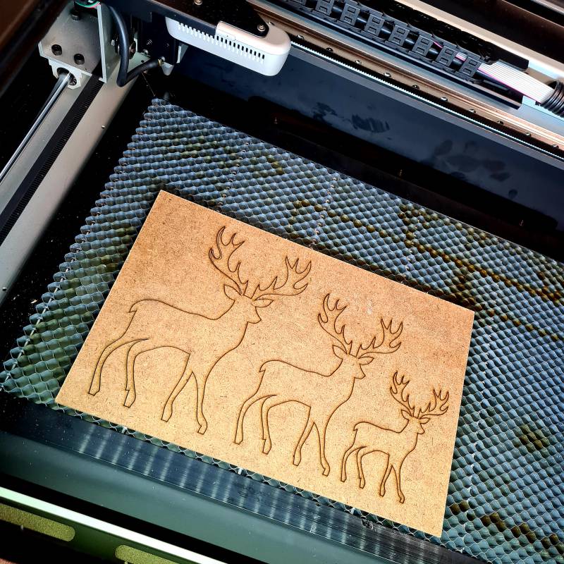 20211126_153816.jpg 20211126_153816.jpg